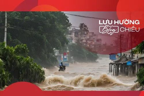Đi qua những mùa bão