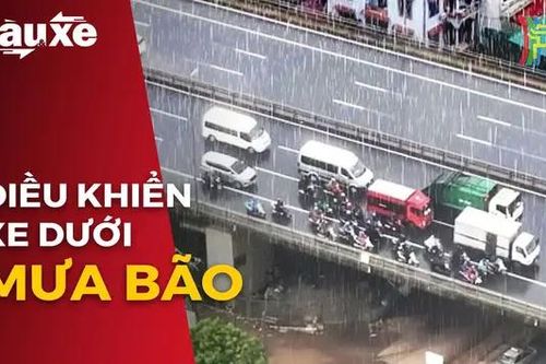 Lưu ý khi điều khiển xe dưới trời mưa bão | Bản tin Tàu và Xe | 07/09/2024
