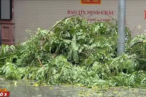 Công an Hà Nội đề nghị người dân hạn chế đi lại