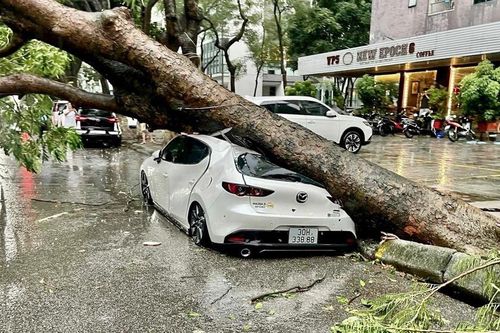 Chủ tịch Thành phố Hà Nội giao nhiệm vụ cụ thể về phòng chống bão số 3 (Yagi)