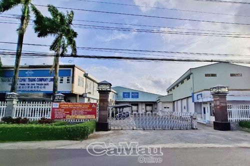 Xử phạt 1 doanh nghiệp trên 2 tỷ đồng vì vi phạm môi trường