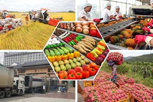 Sản xuất nông, lâm nghiệp và thủy sản ghi nhận những kết quả tích cực