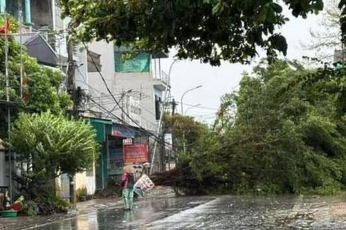 6 tàu bị chìm, hàng trăm cây xanh gãy đổ, nhiều nơi mất điện diện rộng