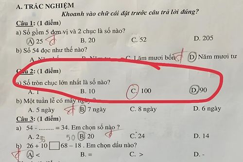 Bài toán tiểu học khiến phụ huynh cũng phải 'đứng hình'