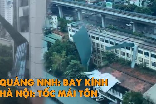 Bão Yagi đổ bộ, Quảng Ninh và Hải Phòng thiệt hại nặng nề