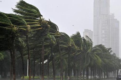 Trung Quốc: Tỉnh hơn 10 triệu dân tê liệt vì siêu bão Yagi