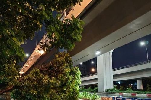 Hình ảnh Hà Nội khi bão số 3 càn quét