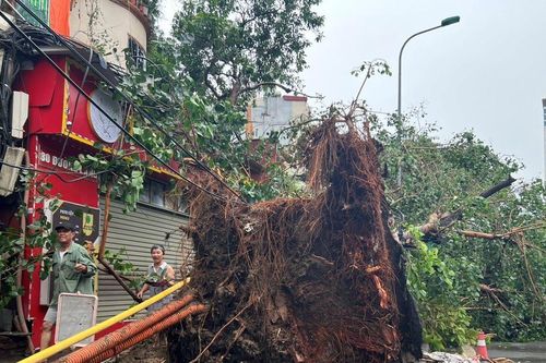 Hà Nội: Cây xanh ngả nghiêng chắn ngang đường sau bão