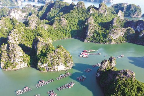 Chèo kayak vãn cảnh Vung Viêng