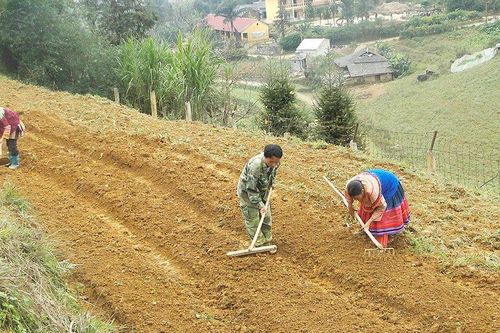 Tháo gỡ khó khăn trong hỗ trợ đất ở, đất sản xuất cho đồng bào dân tộc thiểu số
