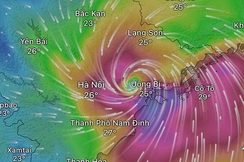 Xem đường đi của bão ở đâu?