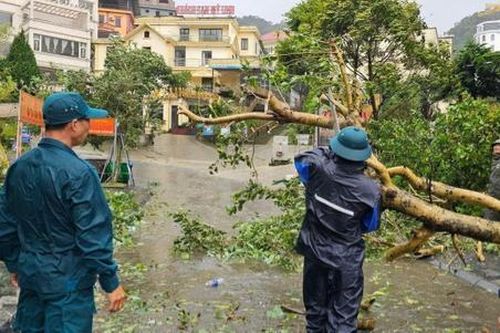 Ngừng đón khách đến khu du lịch Tam Đảo sau bão số 3