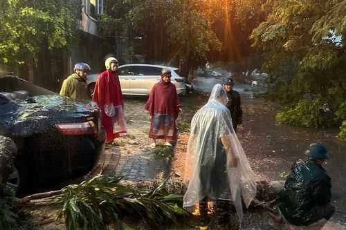 Quận Đống Đa tập trung khắc phục ảnh hưởng do bão Yagi gây ra