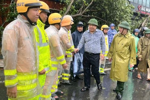 Nam Định: xử lý cây xanh gãy đổ do bão số 3