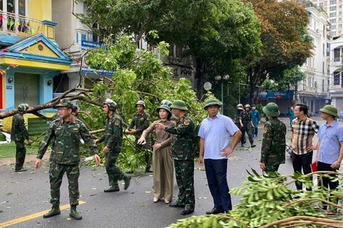 Hà Đông: hơn 730 cây xanh gãy đổ, nhiều khu vực ngập úng