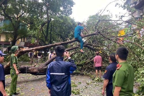 Quận Ba Đình: khẩn trương khắc phục hậu quả do bão số 3