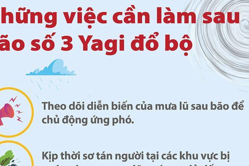 Những việc cần làm sau bão số 3 đổ bộ