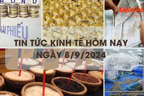 Tin tức kinh tế ngày 8/9: giá vàng nhẫn tăng nhẹ