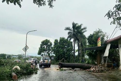 Huyện Chương Mỹ bảo đảm giao thông thông suốt ngay cả trong mưa bão
