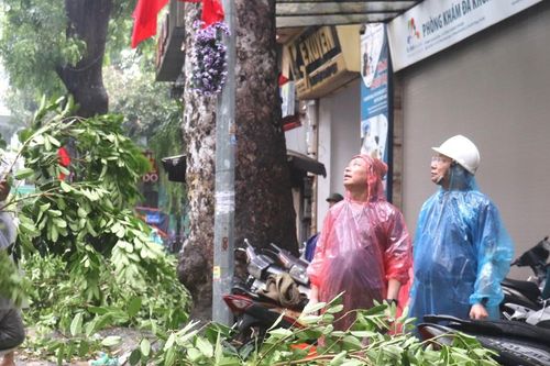 Quận Hai Bà Trưng: hỗ trợ để người dân không bị đói, rét trong ngày bão
