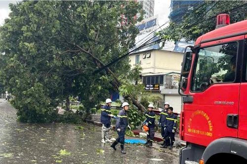 Quận Thanh Xuân: dồn lực khắc phục các sự cố sau bão số 3
