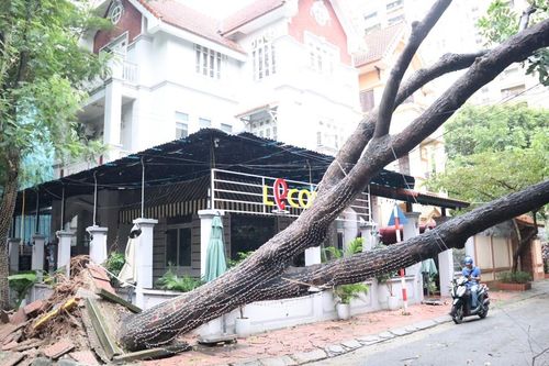 Quận Nam Từ Liêm tích cực khắc phục hậu quả sau bão