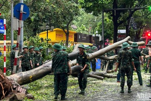 Hà Nội: Các lực lượng ra quân khắc phục hậu quả bão số 3