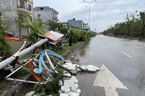 Hải Phòng: Nhiều tuyến đường tại huyện Đồ Sơn tê liệt sau bão số 3