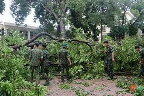 Thị xã Sơn Tây khẩn trương khắc phục hậu quả bão số 3