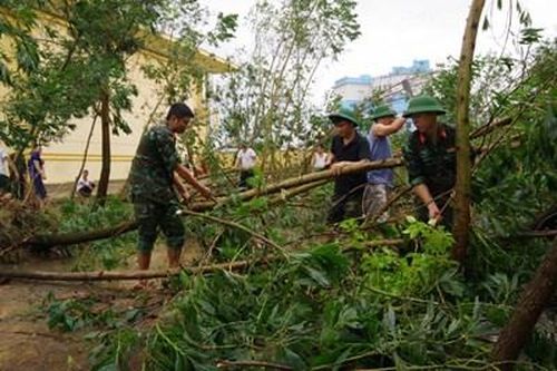 Thái Bình khẩn trương giúp nhân dân khắc phục hậu quả của bão số 3