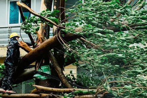 Thanh niên Thủ đô hỗ trợ khắc phục hậu quả cơn bão YAGI