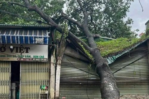 Siêu bão đổ bộ vào đất liền, thiệt hại nặng nề