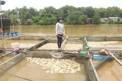 Nguy cơ xảy ra lũ trên hệ thống sông Đồng Nai