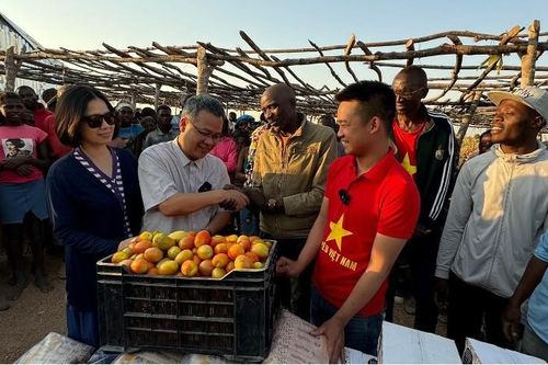 Tháo gỡ khó khăn cho cộng đồng người Việt, khai phá tiềm năng hợp tác thực chất ở Angola