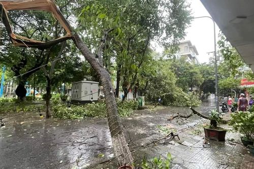 Thái Bình: Không có thiệt hại về người do bão số 3