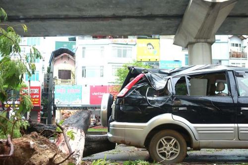 Hà Nội: Hàng loạt ô tô bị cây xanh 'đè bẹp' sau bão số 3
