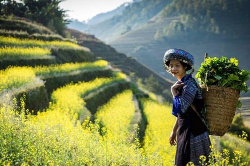Khi khí hậu... gây bệnh