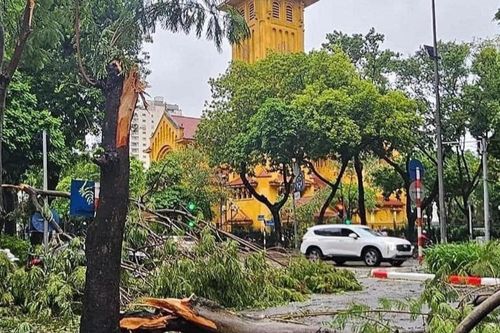 Đường phố Hà Nội tan hoang sau khi siêu bão Yagi đi qua