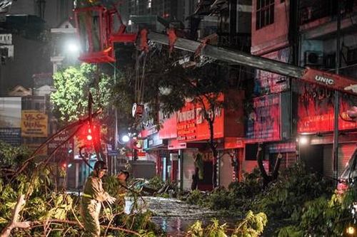 Hà Nội: Hơn 2.400 cây đổ, hàng nghìn ha lúa bị thiệt hại sau bão