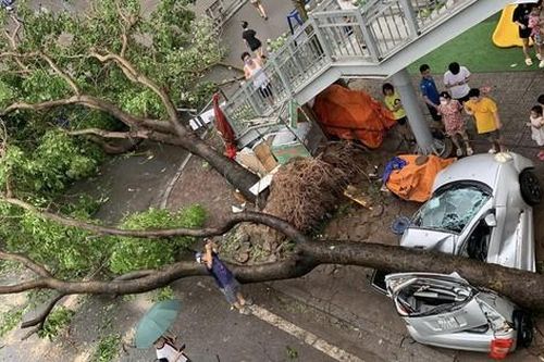 Hàng loạt ô tô ở Hà Nội bị đè bẹp sau khi bão số 3 quét qua