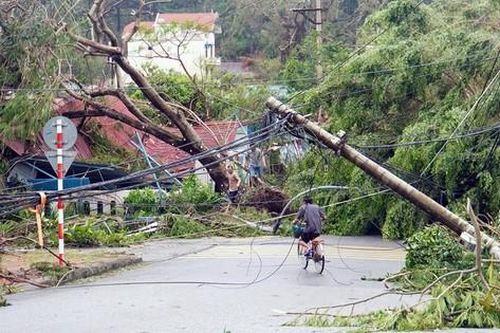 Người dân Đồ Sơn tất bật dọn dẹp nhà cửa sau bão số 3