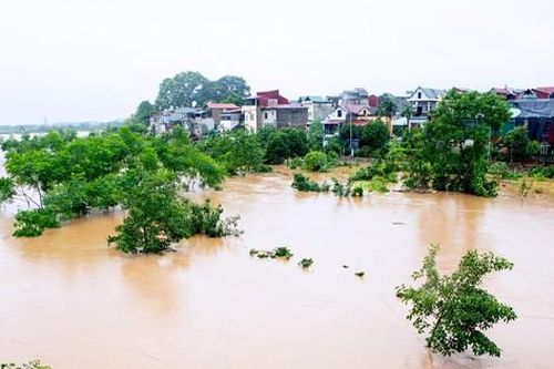 Nước sông Hồng dâng cao, nhiều diện tích ven sông ngập úng