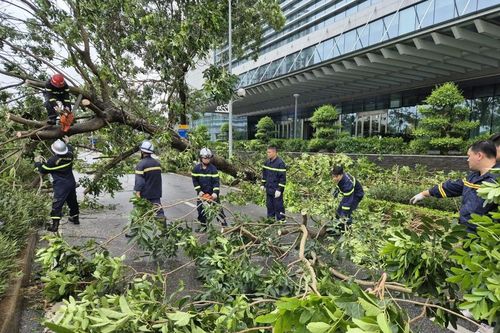 Kiên cường ứng phó, dồn sức khắc phục hậu quả bão số 3