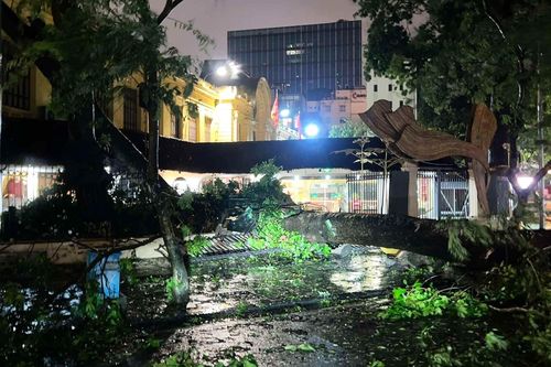 Nhìn lại khoảnh khắc kinh hoàng bão Yagi càn quét Quảng Ninh, Hải Phòng, Hà Nội