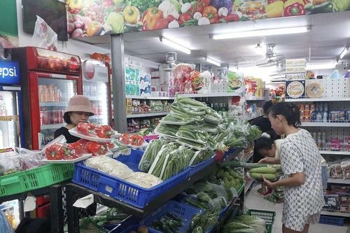 Đi chợ, siêu thị sau bão Yagi: Nhiều nơi không thể mua được thịt