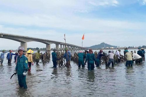 Tháo dỡ hàng nghìn cọc bê tông nuôi hàu trái phép trên sông ở Hà Tĩnh