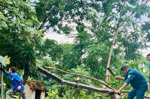 Lực lượng vũ trang Quế Phong giúp người dân khắc phục hậu quả bão số 3
