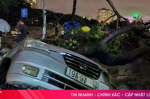 Hà Nội tan hoang sau bão