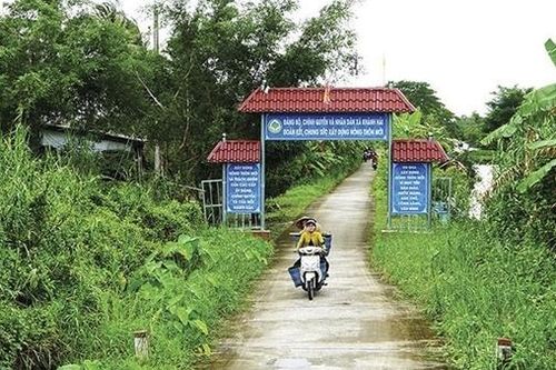 Rừng cười cá sấu, cọp beo