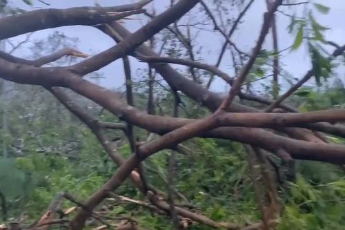 Cây cối đổ la liệt trên đảo Cô Tô ở Quảng Ninh